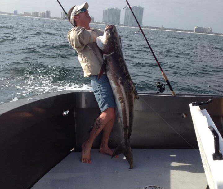 Offshore Fishing Cobia