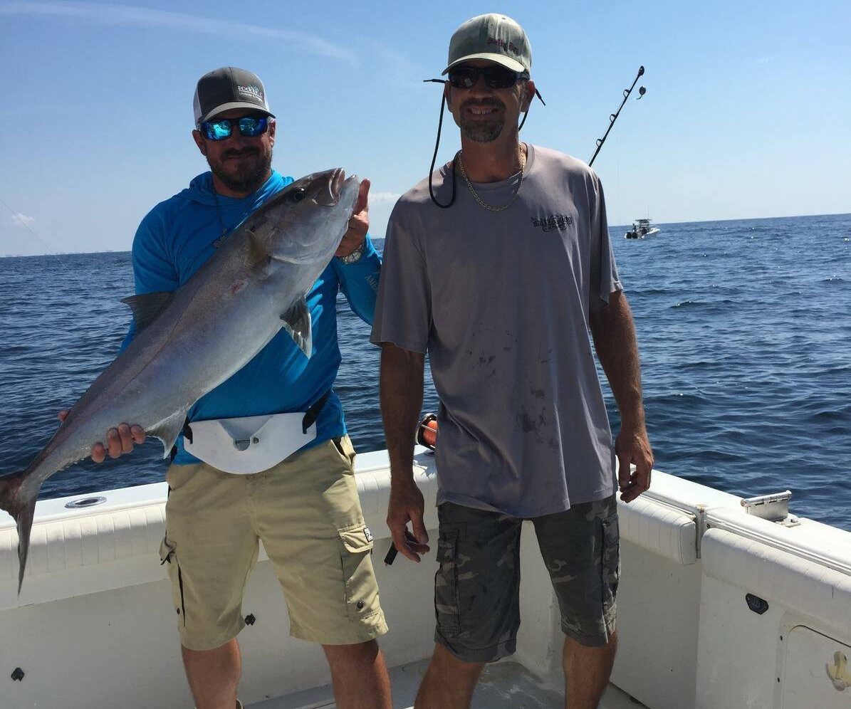 Nearshore Amberjack