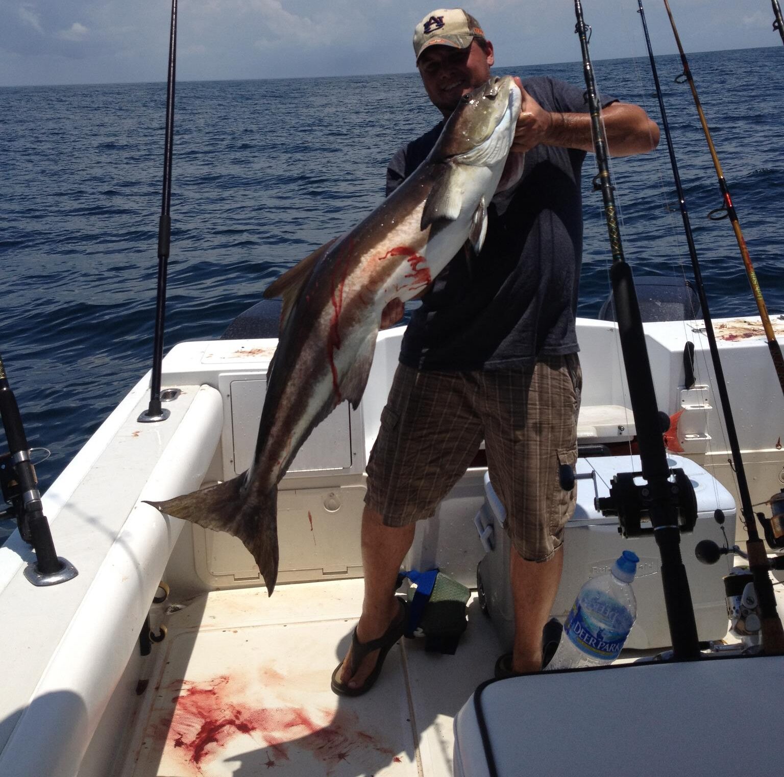 Nearshore Fishing Cobia