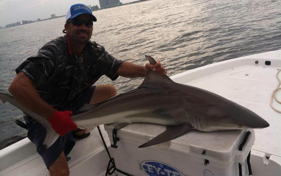 Nearshore Blacktip Shark