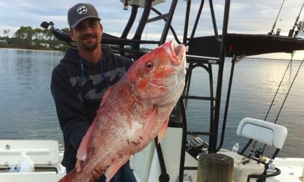 Fishing Guide Captain Marty Starling Nearshore Fishing Red Snapper